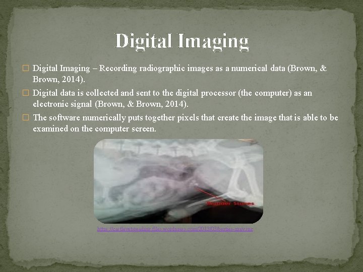 Digital Imaging � Digital Imaging – Recording radiographic images as a numerical data (Brown,