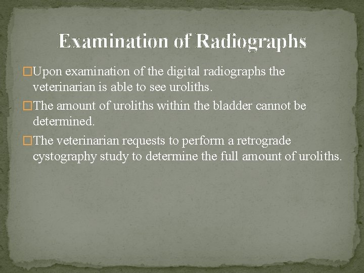 Examination of Radiographs �Upon examination of the digital radiographs the veterinarian is able to