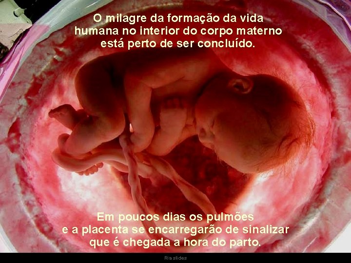 O milagre da formação da vida humana no interior do corpo materno está perto