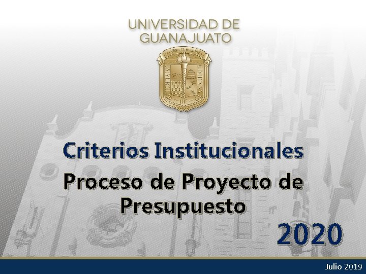 Criterios Institucionales Proceso de Proyecto de Presupuesto 2020 Julio 2019 