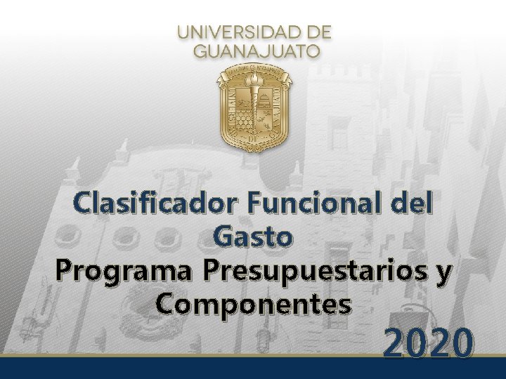 Clasificador Funcional del Gasto Programa Presupuestarios y Componentes 2020 