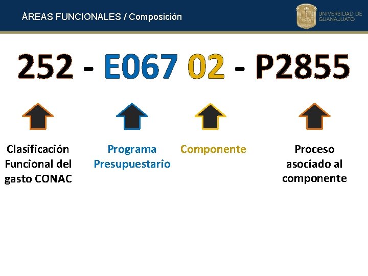 ÁREAS FUNCIONALES / Composición 252 - E 067 02 - P 2855 Clasificación Funcional