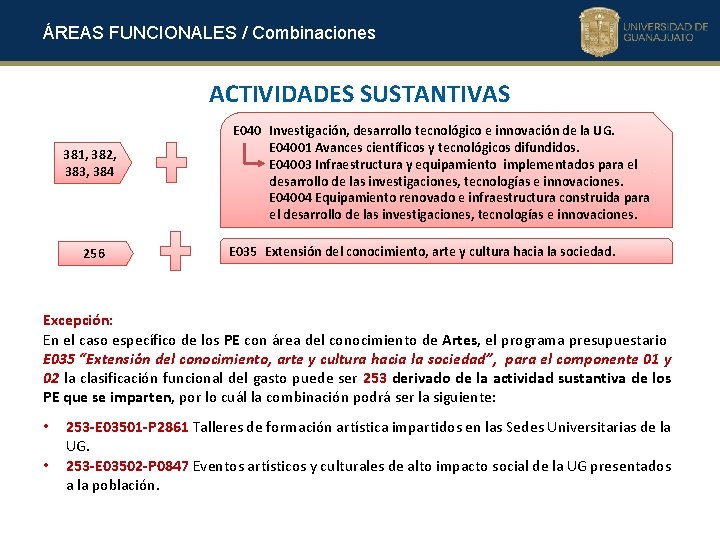 ÁREAS FUNCIONALES / Combinaciones ACTIVIDADES SUSTANTIVAS 381, 382, 383, 384 256 E 040 Investigación,