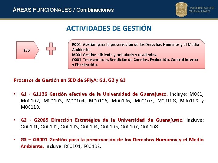 ÁREAS FUNCIONALES / Combinaciones ACTIVIDADES DE GESTIÓN 256 R 001 Gestión para la preservación