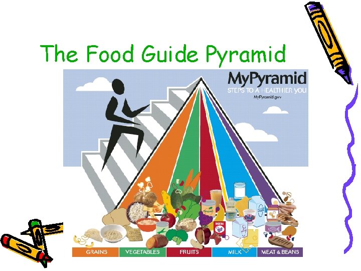 The Food Guide Pyramid 