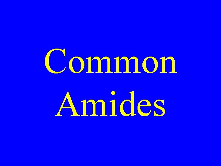 Common Amides 