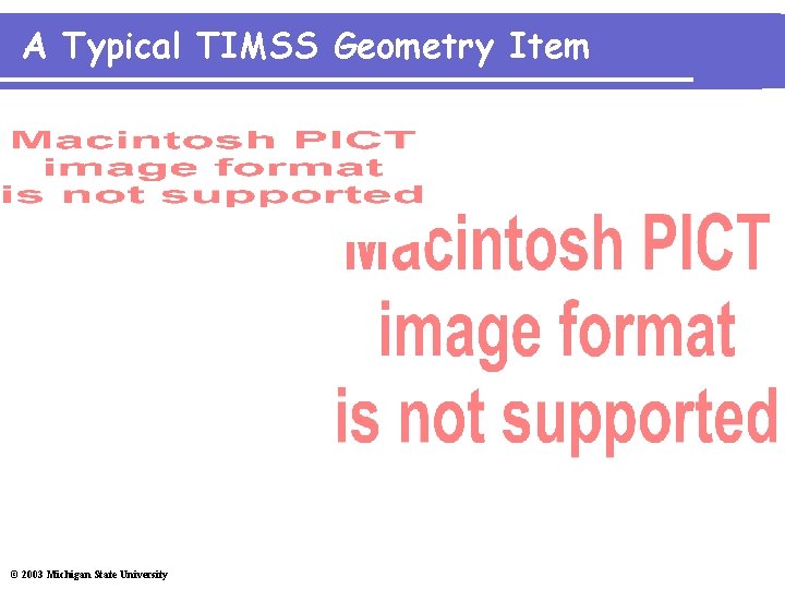 A Typical TIMSS Geometry Item © 2003 Michigan State University 