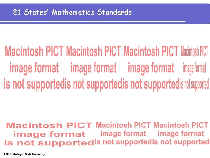 21 States’ Mathematics Standards © 2003 Michigan State University 