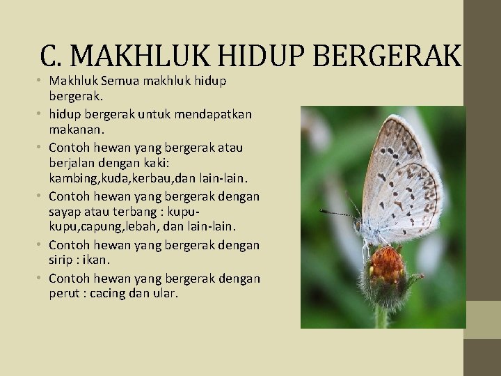 C. MAKHLUK HIDUP BERGERAK • Makhluk Semua makhluk hidup bergerak. • hidup bergerak untuk