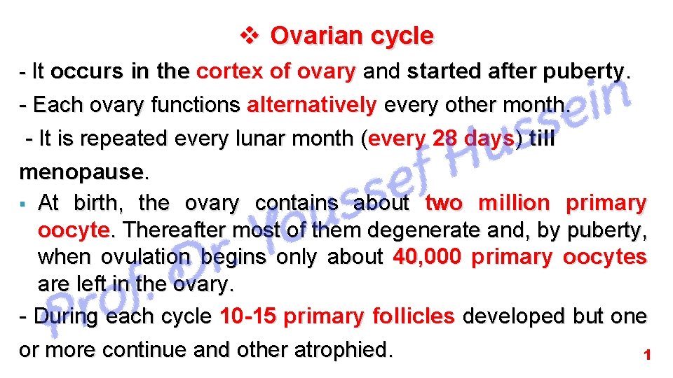 v Ovarian cycle - It occurs in the cortex of ovary and started after