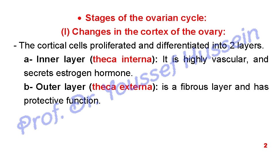  Stages of the ovarian cycle: (I) Changes in the cortex of the ovary: