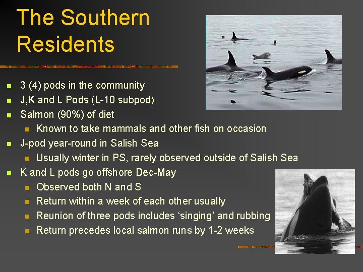 The Southern Residents n n n 3 (4) pods in the community J, K