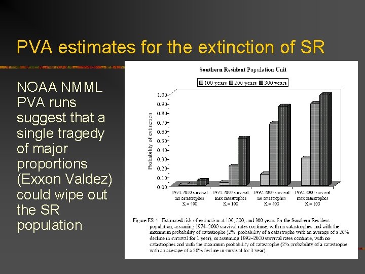 PVA estimates for the extinction of SR NOAA NMML PVA runs suggest that a
