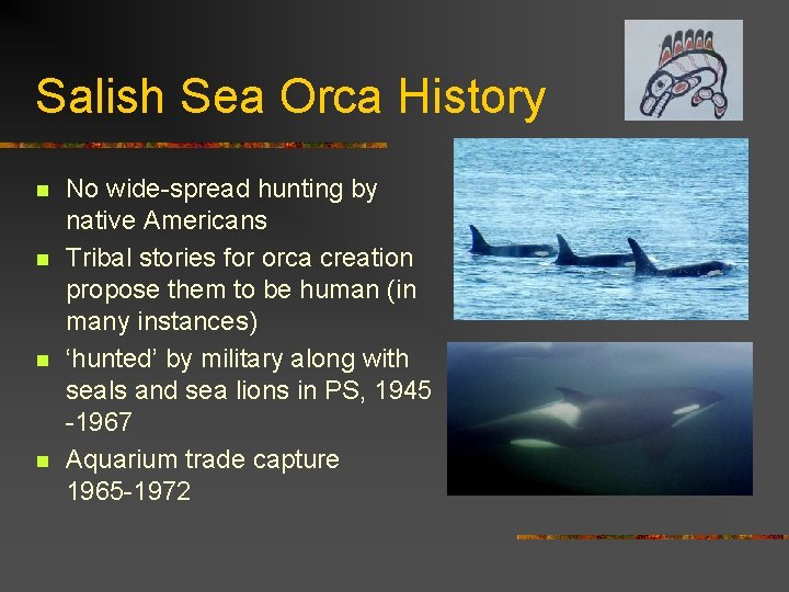 Salish Sea Orca History n n No wide-spread hunting by native Americans Tribal stories