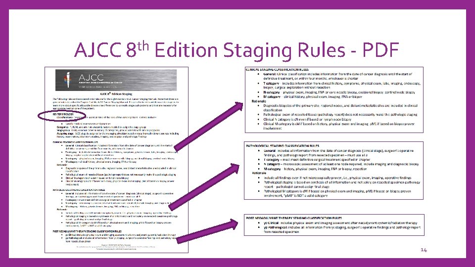 AJCC 8 th Edition Staging Rules - PDF 14 