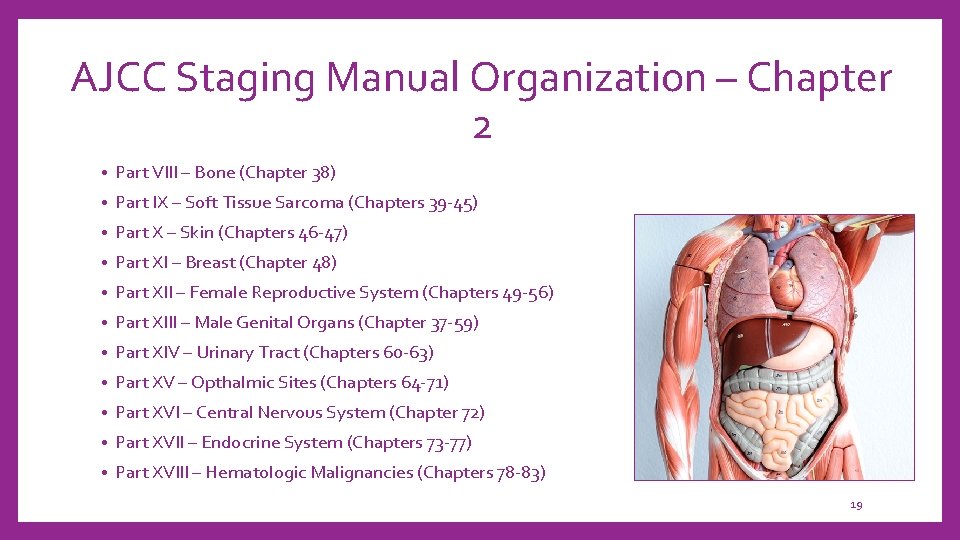 AJCC Staging Manual Organization – Chapter 2 • Part VIII – Bone (Chapter 38)