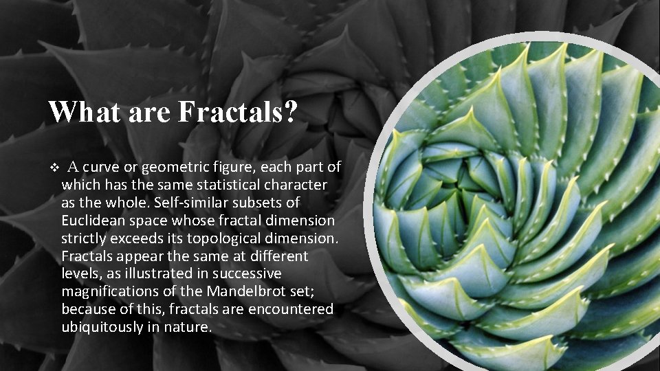 What are Fractals? v A curve or geometric figure, each part of which has