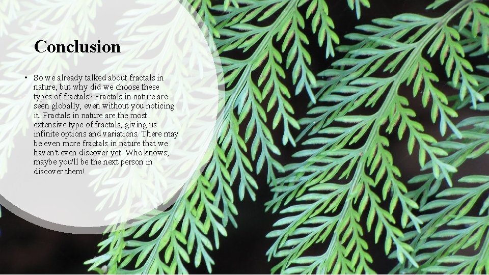 Conclusion • So we already talked about fractals in nature, but why did we