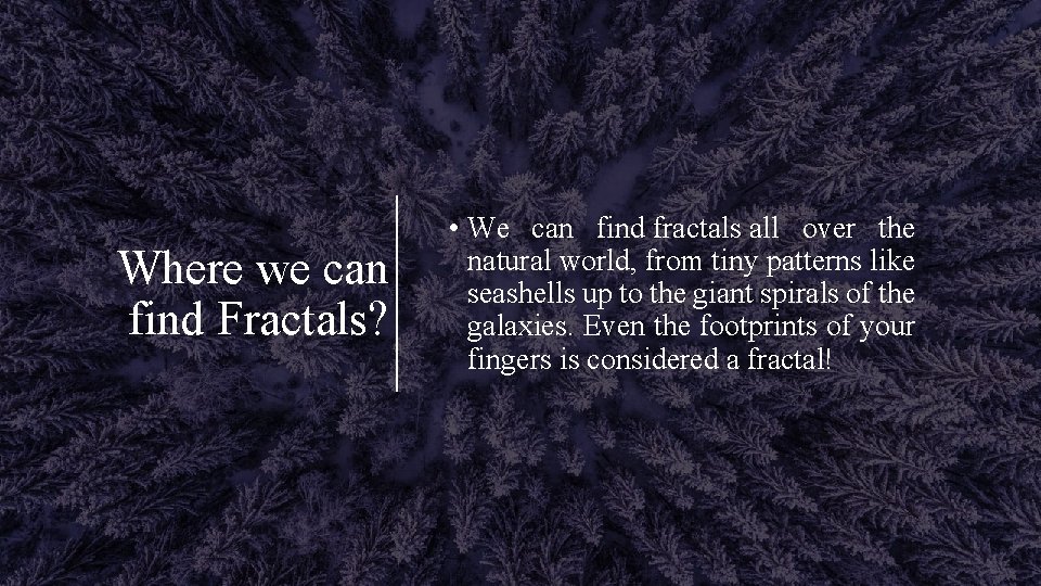 Where we can find Fractals? • We can find fractals all over the natural