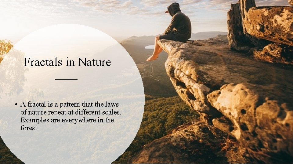 Fractals in Nature • A fractal is a pattern that the laws of nature