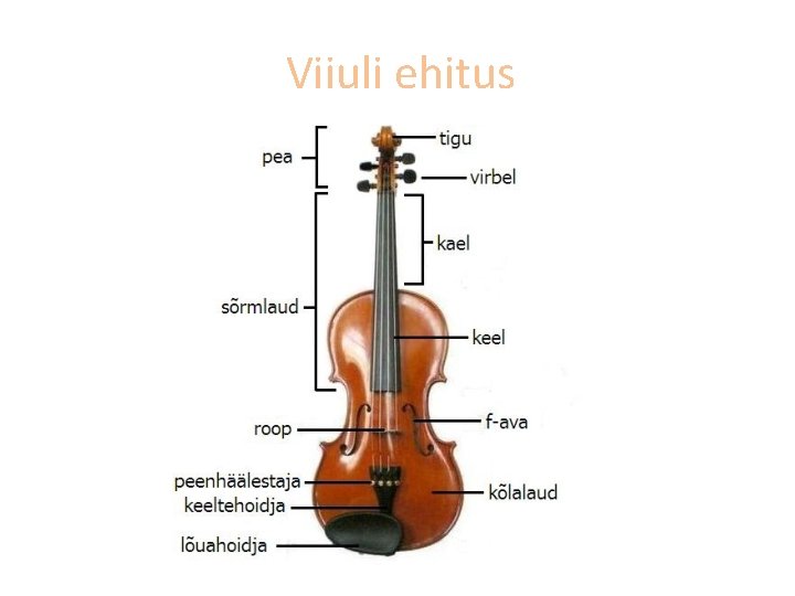 Viiuli ehitus 