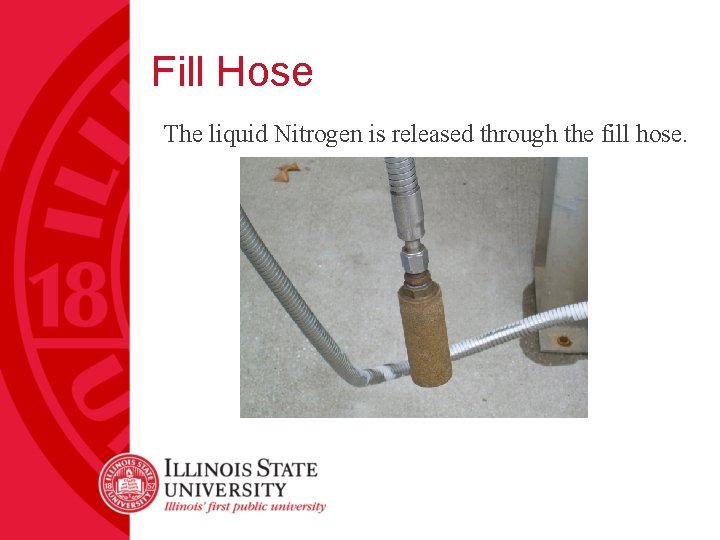 Fill Hose The liquid Nitrogen is released through the fill hose. 