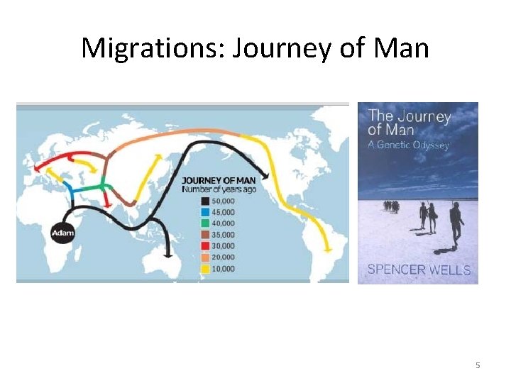Migrations: Journey of Man 5 