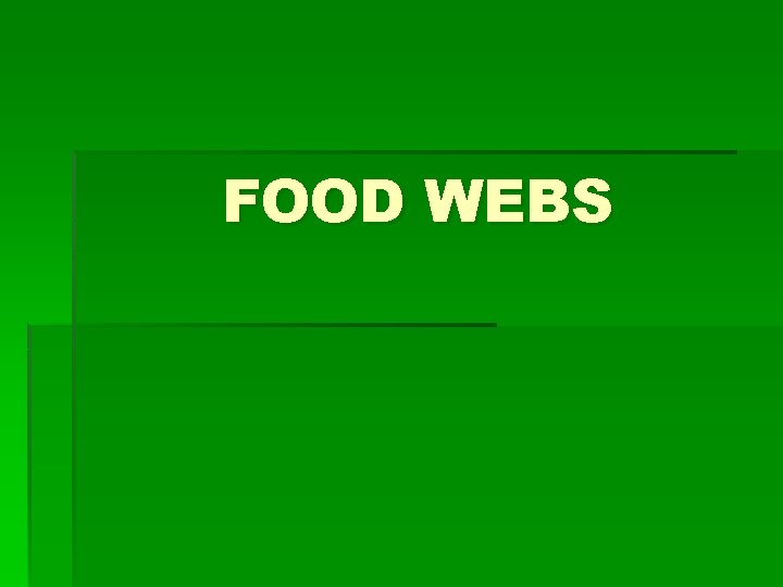 FOOD WEBS 