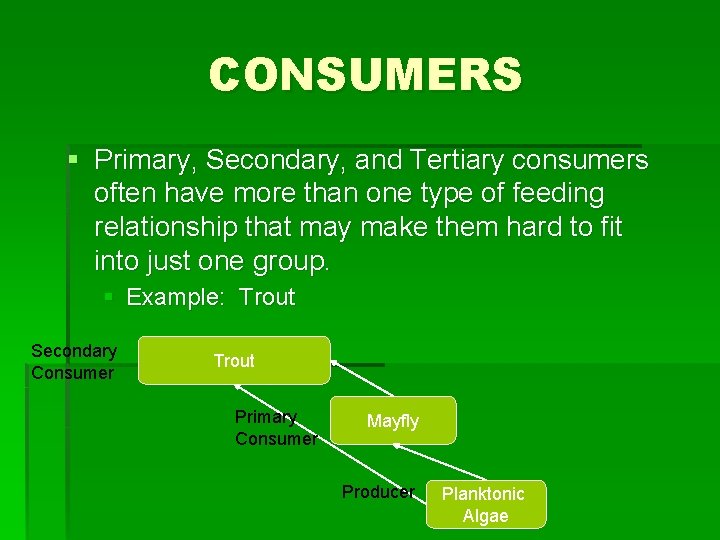 CONSUMERS § Primary, Secondary, and Tertiary consumers often have more than one type of
