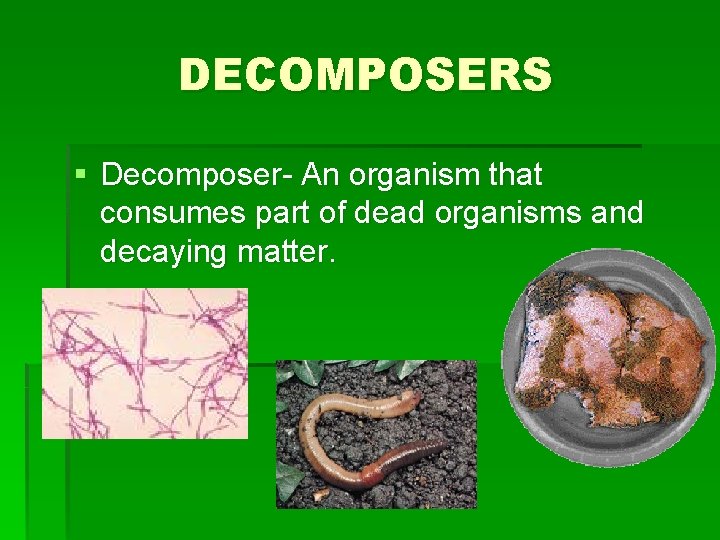 DECOMPOSERS § Decomposer- An organism that consumes part of dead organisms and decaying matter.