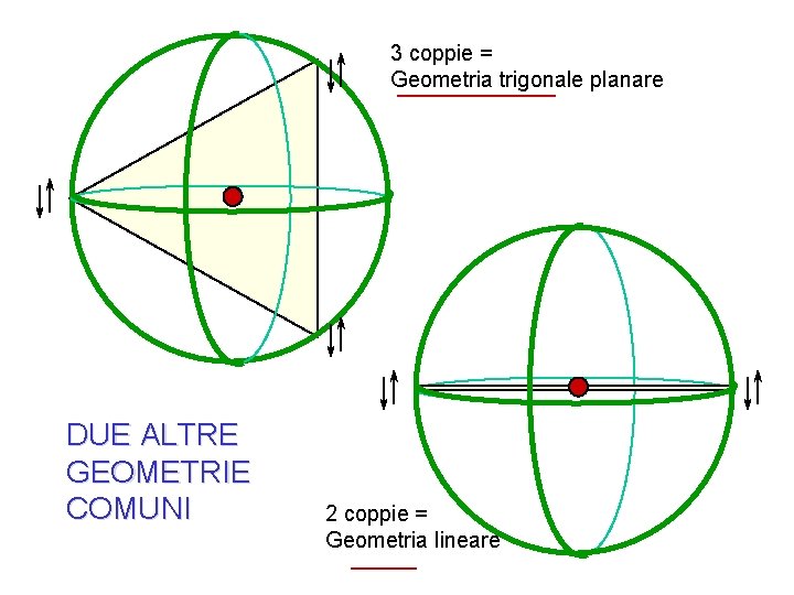 3 coppie = Geometria trigonale planare DUE ALTRE GEOMETRIE COMUNI 2 coppie = Geometria