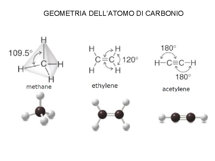 GEOMETRIA DELL’ATOMO DI CARBONIO 