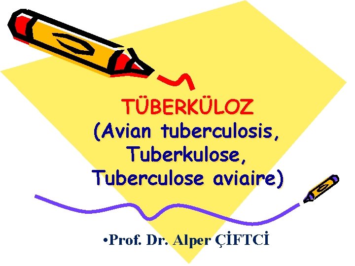 TÜBERKÜLOZ (Avian tuberculosis, Tuberkulose, Tuberculose aviaire) • Prof. Dr. Alper ÇİFTCİ 