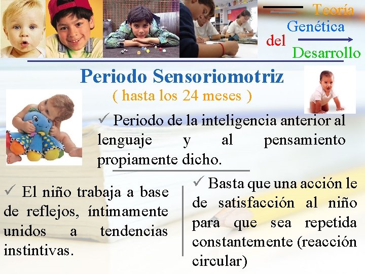 del Teoría Genética Desarrollo Periodo Sensoriomotriz ( hasta los 24 meses ) ü Periodo