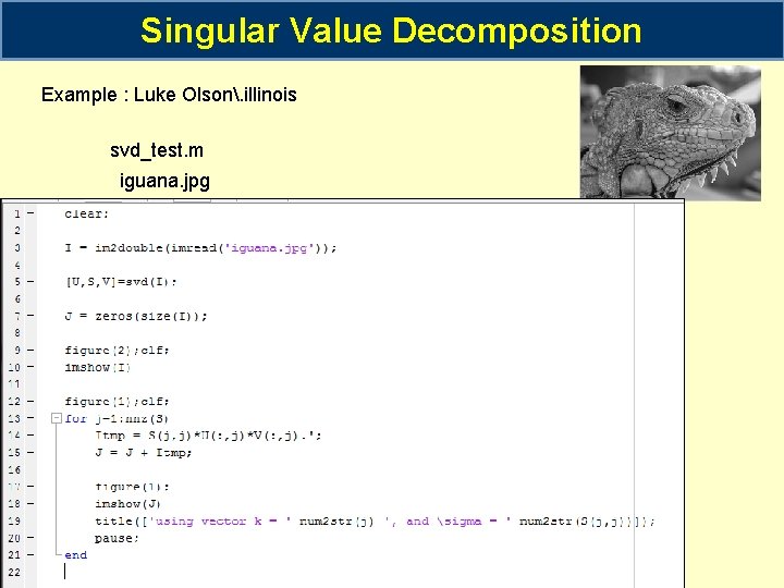 Singular Value Decomposition Example : Luke Olson. illinois svd_test. m iguana. jpg 