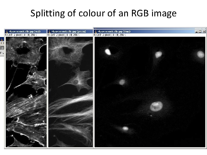 Splitting of colour of an RGB image 12 