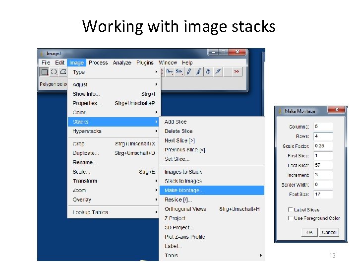 Working with image stacks 13 