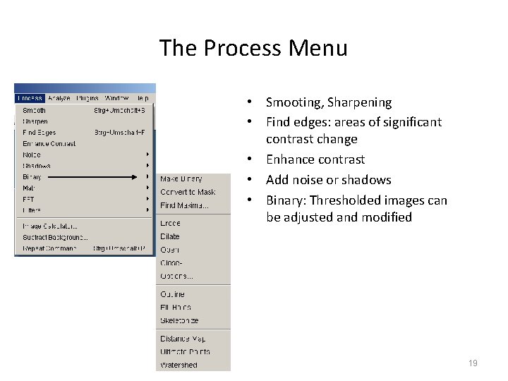 The Process Menu • Smooting, Sharpening • Find edges: areas of significant contrast change