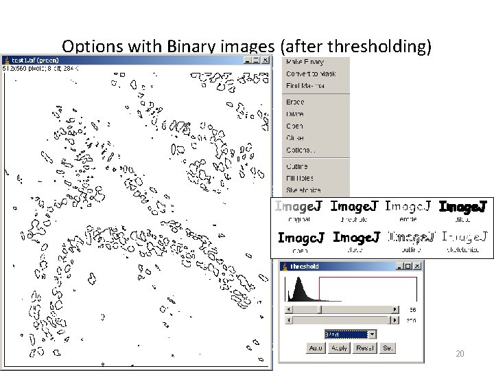 Options with Binary images (after thresholding) 20 
