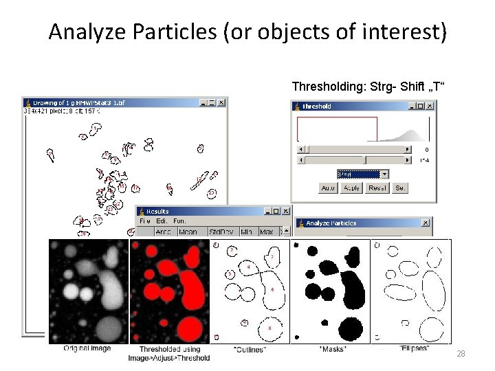 Analyze Particles (or objects of interest) Thresholding: Strg- Shift „T“ 28 