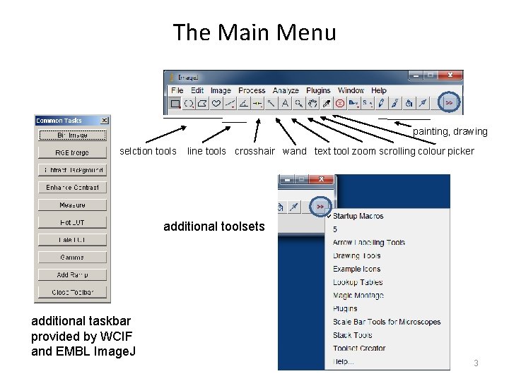 The Main Menu painting, drawing selction tools line tools crosshair wand text tool zoom