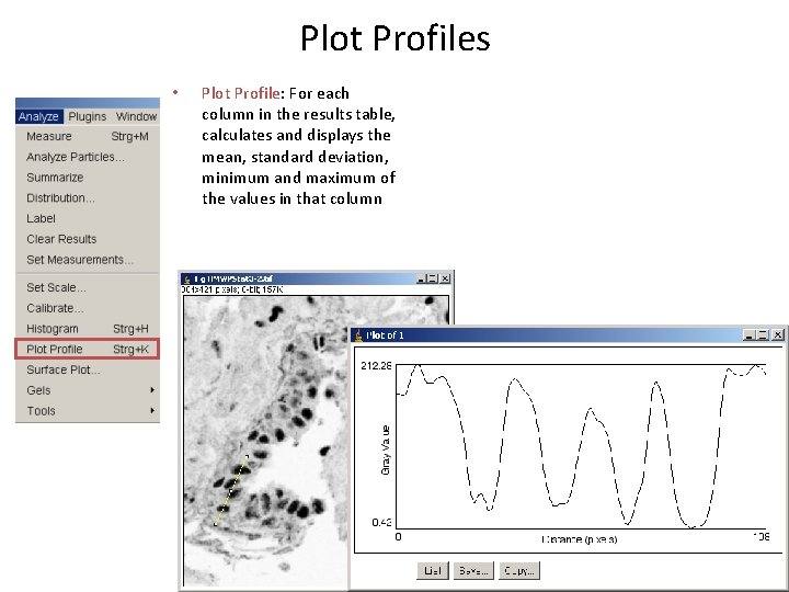 Plot Profiles • Plot Profile: For each column in the results table, calculates and