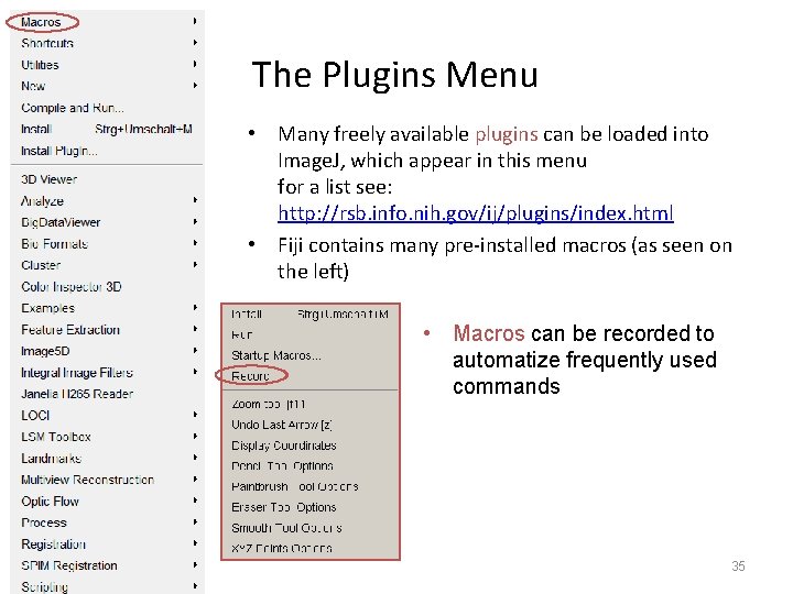 The Plugins Menu • Many freely available plugins can be loaded into Image. J,