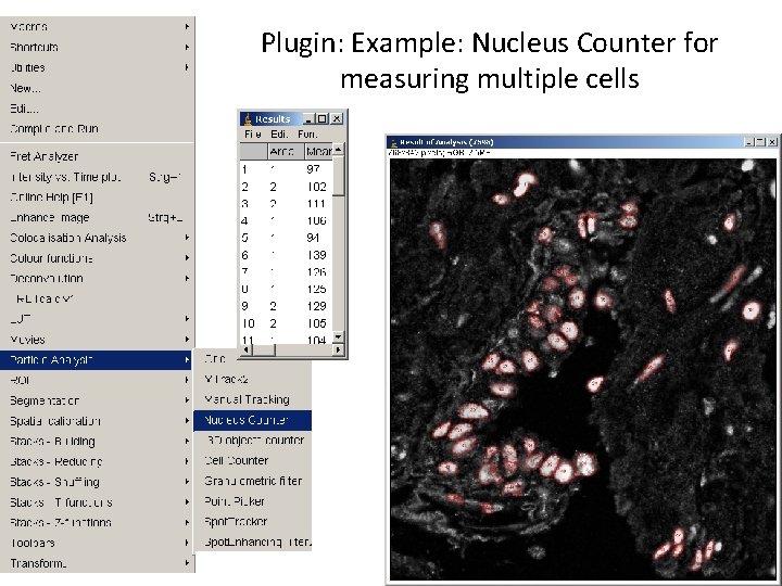 Plugin: Example: Nucleus Counter for measuring multiple cells 36 