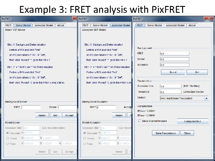 Example 3: FRET analysis with Pix. FRET 37 