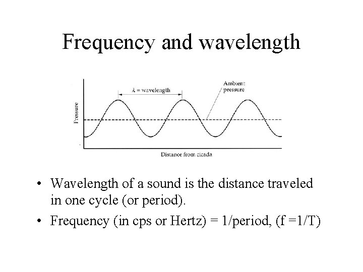 Frequency and wavelength • Wavelength of a sound is the distance traveled in one