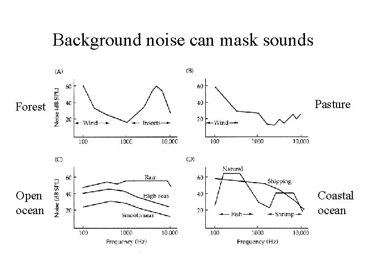 Background noise can mask sounds Forest Pasture Open ocean Coastal ocean 