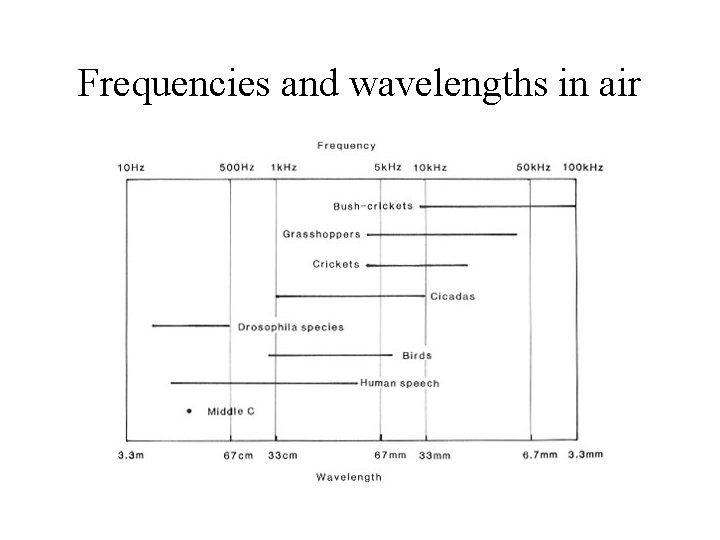 Frequencies and wavelengths in air 