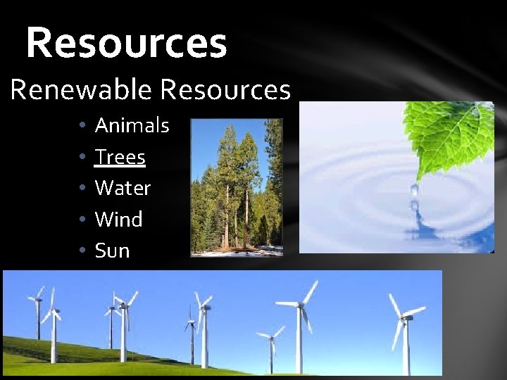 Resources Renewable Resources • • • Animals Trees Water Wind Sun 