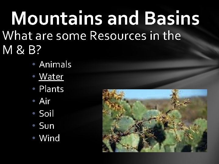 Mountains and Basins What are some Resources in the M & B? • •